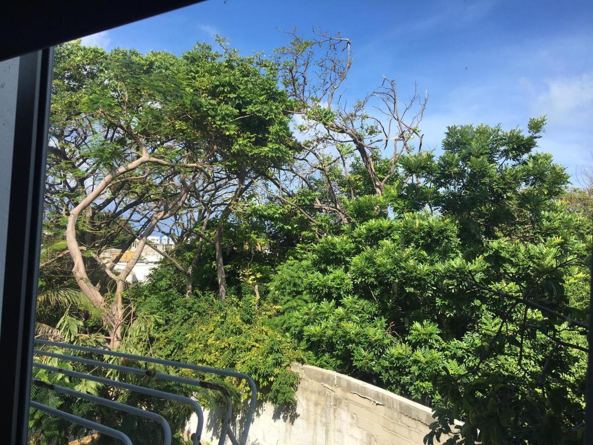San AndrésCasona La Carolina别墅 外观 照片