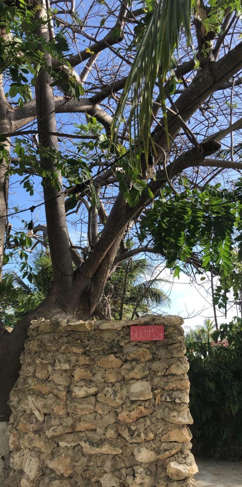 San AndrésCasona La Carolina别墅 外观 照片